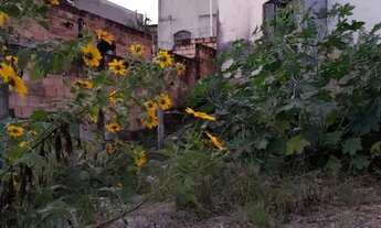 Imagem 6: Vende-se um lote 360 metros com casa