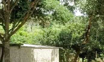 Imagem 6: Sítio em MG 432 KM 15.7 - Caracóis de Baixo - Esmeraldas/MG