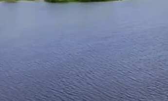 Imagem 6: Terreno maravilhoso Coité!