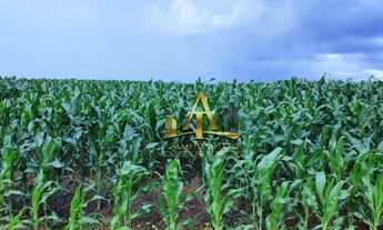 Imagem 2: Fazenda à Venda - Zona Rural - Diamantino/MT