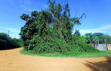 Imagem 8: /Lote em Iranduba - 1020 m2