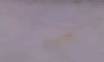 Imagem: José Raimundo Souza