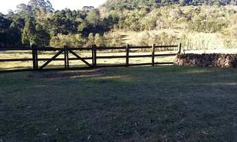 Imagem: Sítio em Marcondes - Marcondes - Gramado/RS