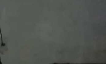 Imagem 4: Aluga-se casa em Nova Brasília de itapua