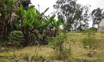 Imagem 4: Vende-se Terreno área de Chácara