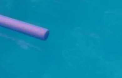 Imagem 5: Chácara disponível pra locação festa, feriados e durante semana, localizada em Barão geral