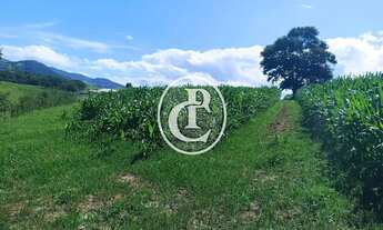 Imagem 5: Fazenda 34 Alqueires Pecuária e Agricultura à venda em Paraibuna/SP