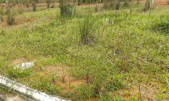 Imagem 2: Condomínio Portal da Colina - Itacoatiara