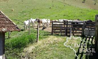 Imagem 2: Oportunidade! Sítio 5.5 ha com casa, curral e pasto formado!