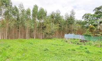 Imagem 6: Fazenda em Descoberto - Guaratuba, PR