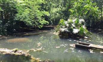 Imagem 3: Vendo sítio em Santa Cruz da serra! 10 lagos!