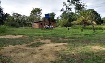 Imagem 5: FAZENDA DE EUCALIPTOS - NIQUELÂNDIA - GO