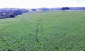 Imagem 7: Fazenda/Sítio/Chácara para venda com 66000 metros quadrados em Zona Rural - Marau - RS