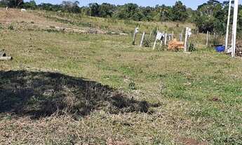 Imagem 4: Fazenda à venda