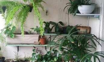 Imagem 6: Apartamento com 2 dormitórios à venda, 67 m² - Paulicéia - São Bernardo do Campo/SP