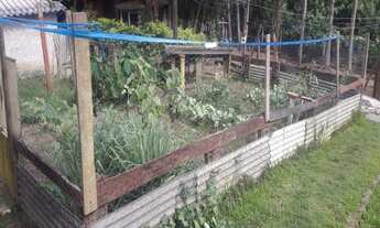 Imagem 6: Fazenda/Sítio/Chácara para venda tem 250 metros quadrados com 6 quartos