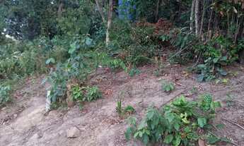 Imagem 7: Vendo casa com terreno