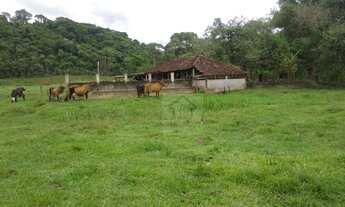 Imagem 2: Sítio à venda, 310000 m² por R$ 1.100.000,00 - Reta Dos Ipes - Cachoeiras de Macacu/RJ