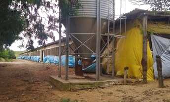Imagem 6: Granja em Guareí SP