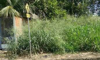 Imagem: 1003 sul, arso 101, lote 360 mt, nascente