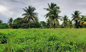 Imagem 2: Lote/Terreno para venda tem 1470 metros quadrados em Paiva - Cabo de Santo Agostinho