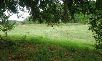 Imagem 6: Sítio à venda, 310000 m² por R$ 1.100.000,00 - Reta Dos Ipes - Cachoeiras de Macacu/RJ