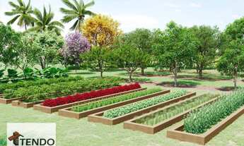 Imagem 2: Terreno à venda, 211 m² por R$ 192.617,53 - Jardim Paviotti - Monte Mor/SP