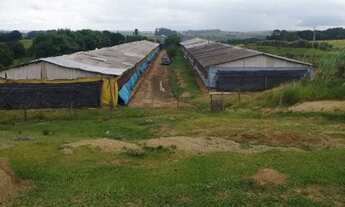Imagem 4: Granja em Guareí SP