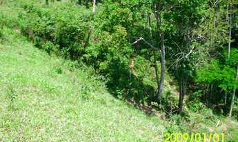 Imagem 2: VENDO EXCELENTE SÍTIO EM PIAU/MG (Ler a descrição completa