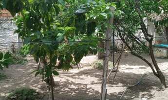 Imagem 5: Casa com 3 quartos