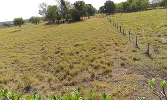 Imagem 6: Chácara Terenos - 2.43 Hectares a 30 minutos de Campo Grande