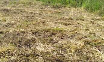 Imagem 3: Desapego agora desses terrenos em Cotia!