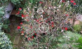 Imagem 5: Casa com 4 dormitórios à venda, 279 m² - Pacaembu - São Paulo/SP