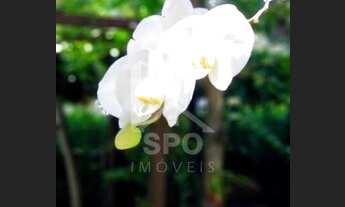 Imagem 5: Apartamento de 180m² a venda no Jd Marajoara, Cond. Interclube, 3 quartos,suite, 2 vagas