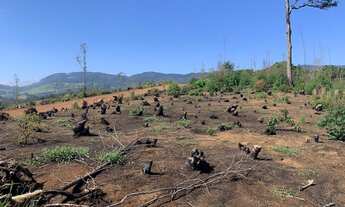 Imagem 7: Terreno se consulta spc/serasa