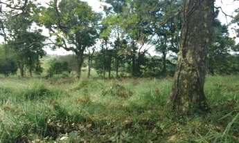 Imagem 4: Terrenos Rurais com muita natureza em Matozinhos/MG