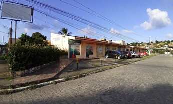 Imagem 4: Paulista - Galeria Paulista Centro