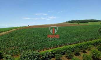 Imagem: Fazenda à venda 50 Alqueires por R$ 15.000.000