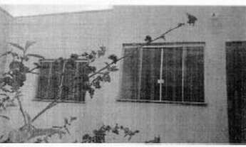 Imagem 4: NOVA SERRANA - NOVA SERRANA - Oportunidade Única em NOVA SERRANA - MG | Tipo: Casa