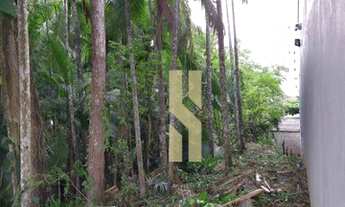 Imagem 2: Terreno Rua Felix Gieseler - Bairro Velha/Blumenau