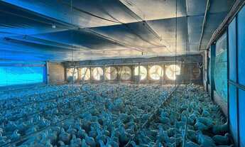 Imagem: Sítio, ITAPIRA, Itapira - R$ 4.5 mi, Cod