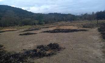 Imagem 2: Fazenda/sítios/chácaras com 1 dormitório à venda em Ribeirão Das Neves
