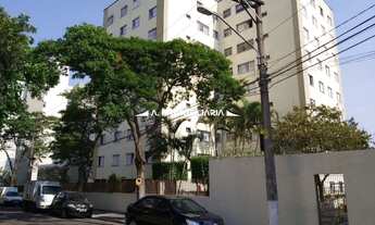 Imagem 3: São Paulo - Apartamento Padrão - VILA AMELIA