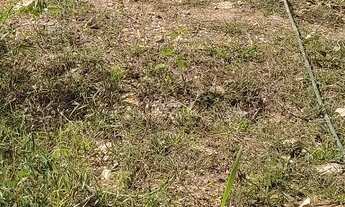 Imagem 1: Vendo ou Troco terreno por carro