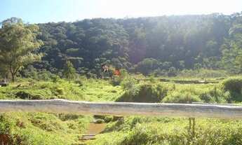 Imagem 4: Roseira - Terreno Padrão - Vargem Grande