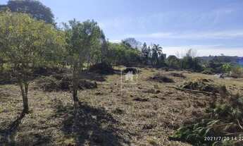 Imagem 7: Terreno à venda, 5940 m² por R$ 490.000,00 - Chácara Esperança - Pinhais/PR