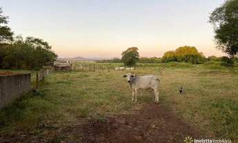 Imagem 3: Fazenda Plantando 500 Hectares em Porto Nacional/TO