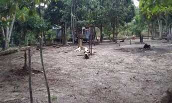 Imagem 4: Sítio no Rio Preto da Eva próximo à Manaus / AM