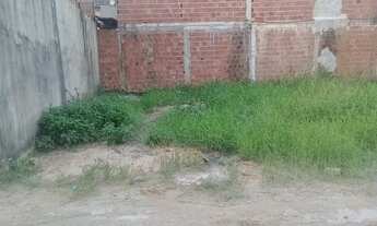 Imagem 2: Vendo terreno em 3 carneiros