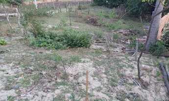 Imagem 6: Terreno ATINS - MA